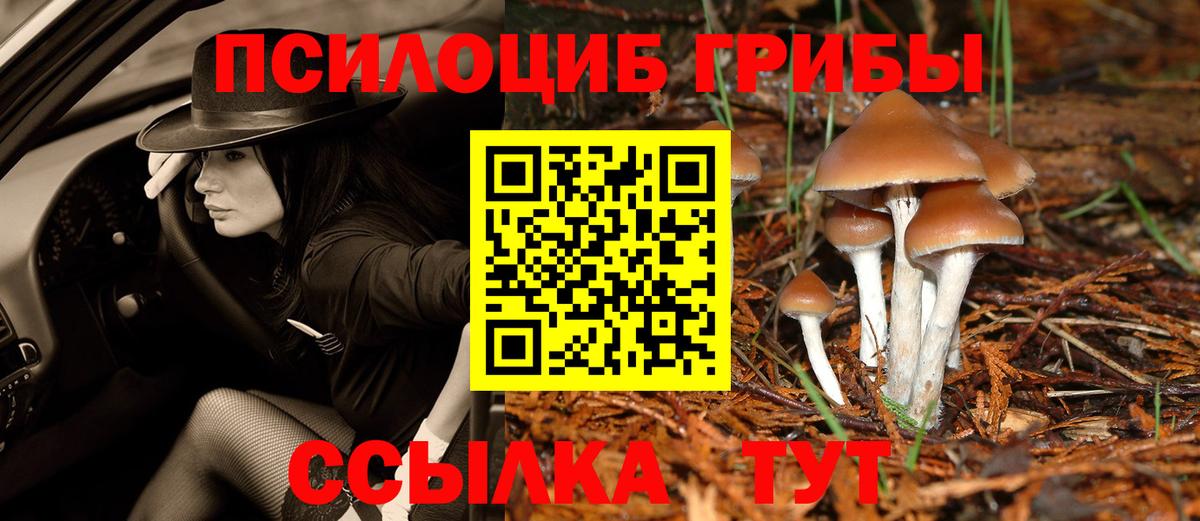 Псилоцибиновые грибы Cubensis Шебекино
