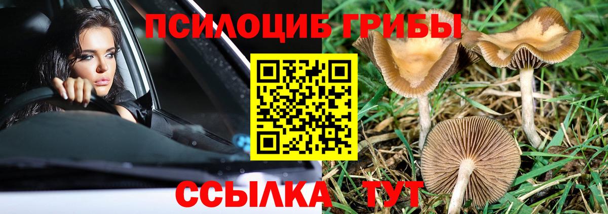 Псилоцибиновые грибы Psilocybe  Псилоцибиновые грибы Cubensis  Шебекино  Вход с VPN 